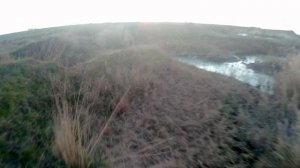 удачная охота на утку🦆🦆