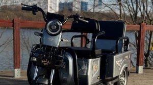 Обзор Грузовые Электротележки компании  IKINGI  Sibtrike 105