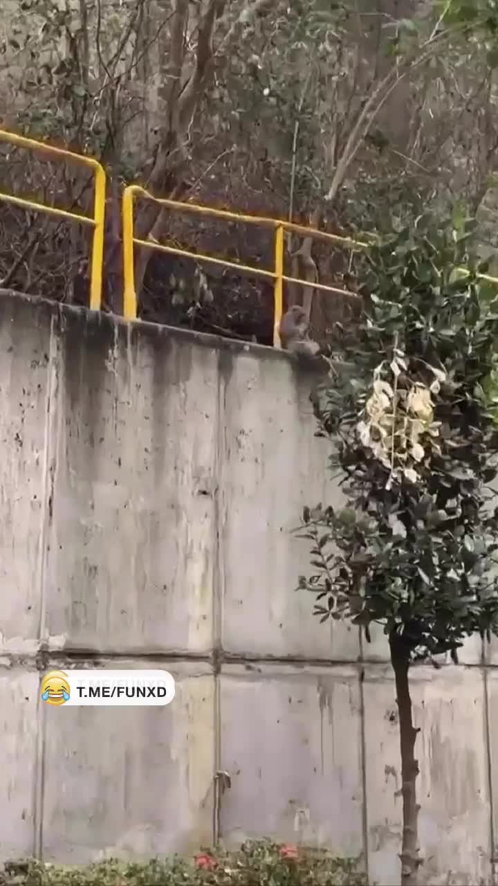 Радуется воскресенью😅 смотреть онлайн