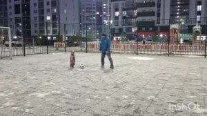 Двойняшки играют в футбол ⚽