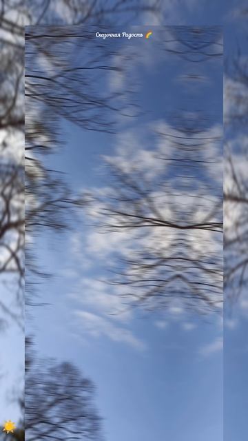 #красивыйдень #парк #заводскойрайон #саратов #небо #деревья #событиедня #13марта2024год смотреть онлайн