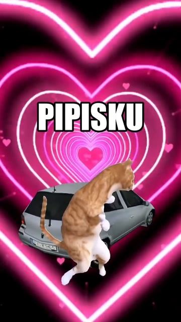 #258 || МЕМЫ || ПРИКОЛЫ || ЮМОР смотреть онлайн