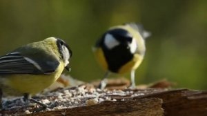 Я не хочу полуправды..(Дмитрий Беспалов)