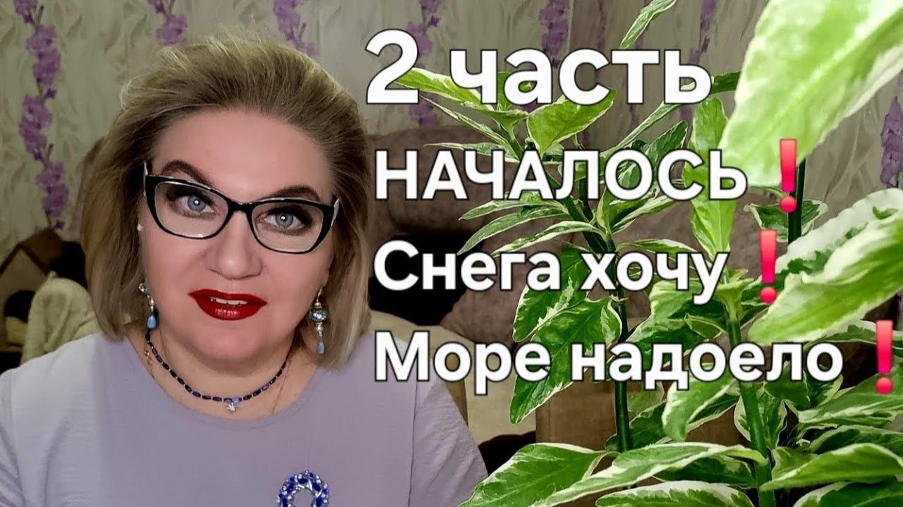 НАЧАЛОСЬ❗️Снега хочу❗️Море надоело❗️ смотреть онлайн