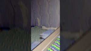 Всем доброе утро. 😎🤗😉🎁🎁🎁🎁🎁