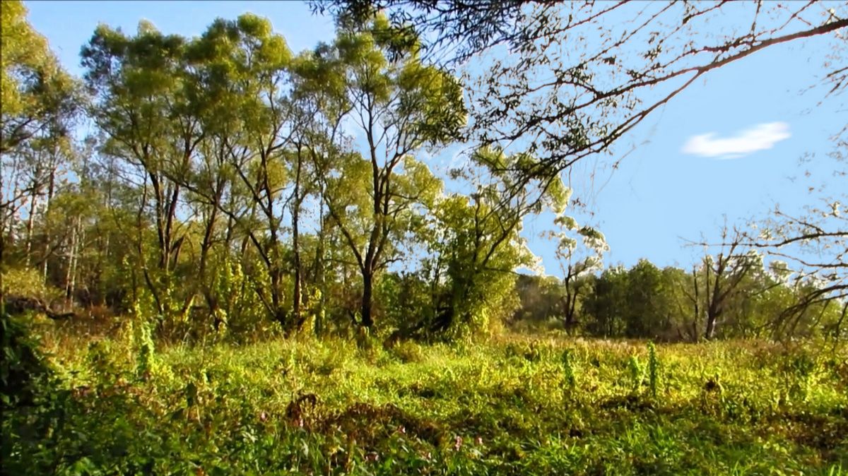 Вечереет смотреть онлайн