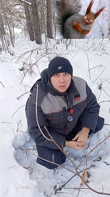 Белка звеняга опасный зверь смотреть онлайн