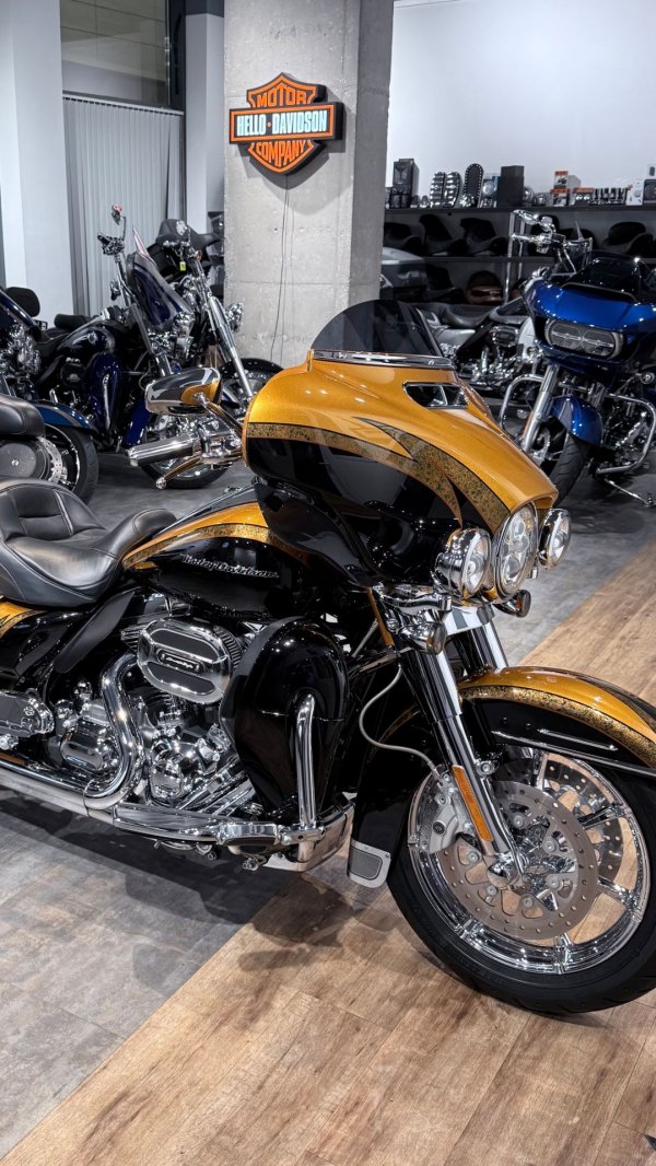 2015 HD CVO Limited 110 Gold Rush / Carbon Dust