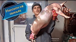 ‼️Потратил 120 т.р на плюшки для наших свинюшек‼️Установка новых опоросных станков‼️