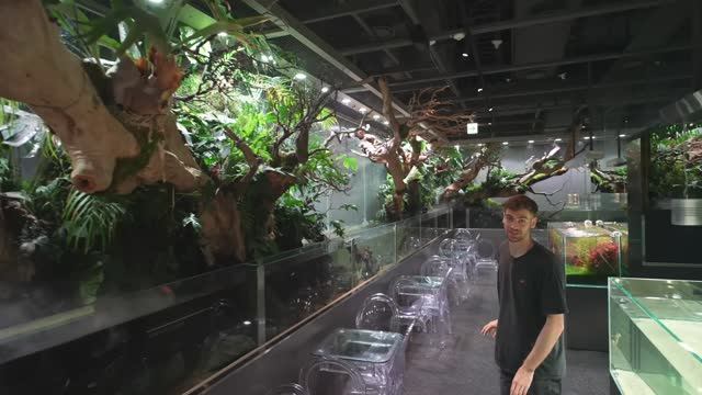 Сеул Корея:  Прогулка по самому вдохновляющему зоомагазину