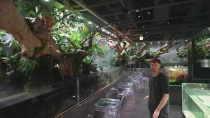 Сеул Корея:  Прогулка по самому вдохновляющему зоомагазину