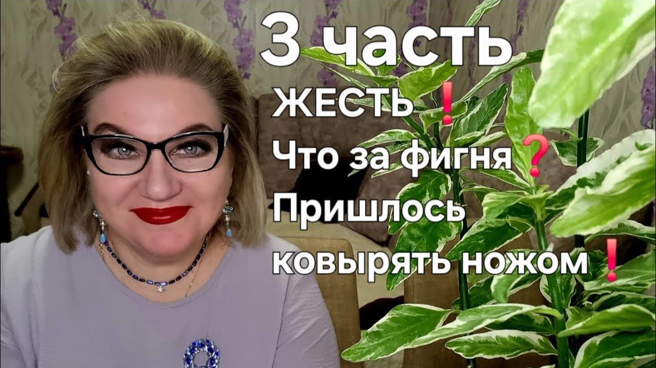 ЖЕСТЬ❗️Что за фигня❓️Пришлось ковырять ножом❗️ смотреть онлайн