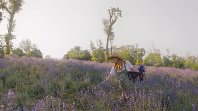 5125003-uhd_4096_2160_24fps