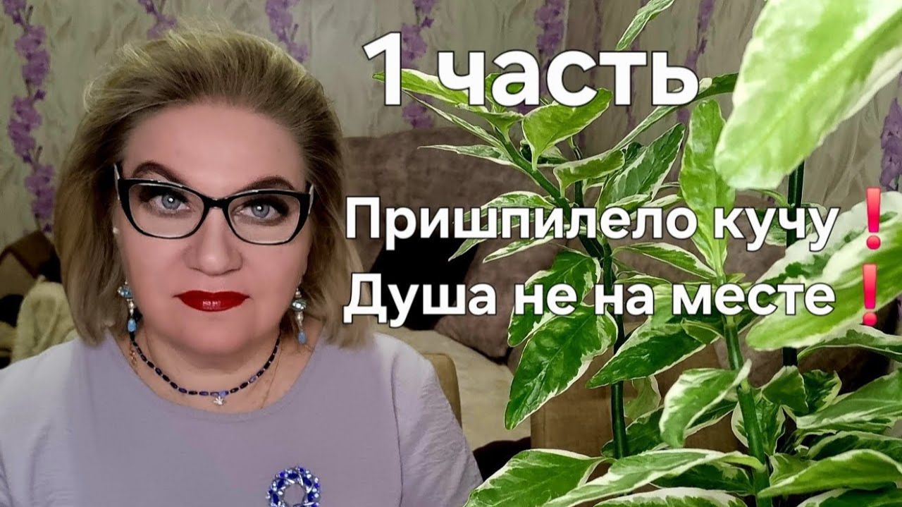 Пришпилело кучу❗️Душа не на месте❗️ смотреть онлайн