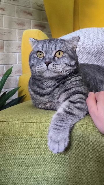 Наше прибавление в семье.