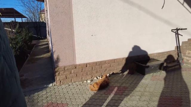 СОБИРАЮ СУМКУ! ПРОГУЛКА ПО ПЯТИХАТКАМ!