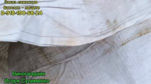 Наша сухая укрывка винограда на зиму!