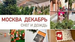 Будни мамы 🎄 Выходные в декабре, уютная Москва, выбираем елку, книга "История елочной игрушки"