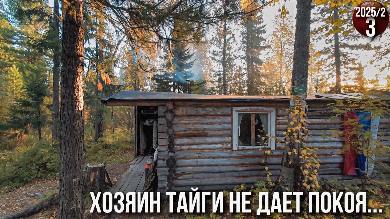 Жизнь семьи в глухой тайге Приполярного Урала. Приходил медведь. Заготовка дров.Жизнь без прикрас 3с