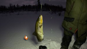 ПОРЫБАЧИЛИ