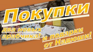 ЧУДЕСНЫЕ ПОКУПКИ С ВАЙЛДБЕРРИЗ!!! И ПОДАРКИ!!! НОВЫЕ АРАБСКИЕ АРОМАТЫ и другие интересности!!!