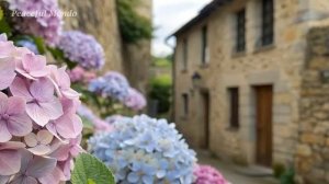 🌸🌸🌸🌸🌿🌿