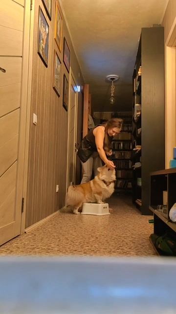 Каруселька Русь