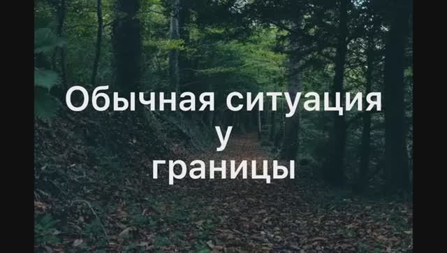 Обычная ситуация у границы/ Листвичка и Грач/ Прикол/ Коты водители/ смотреть онлайн