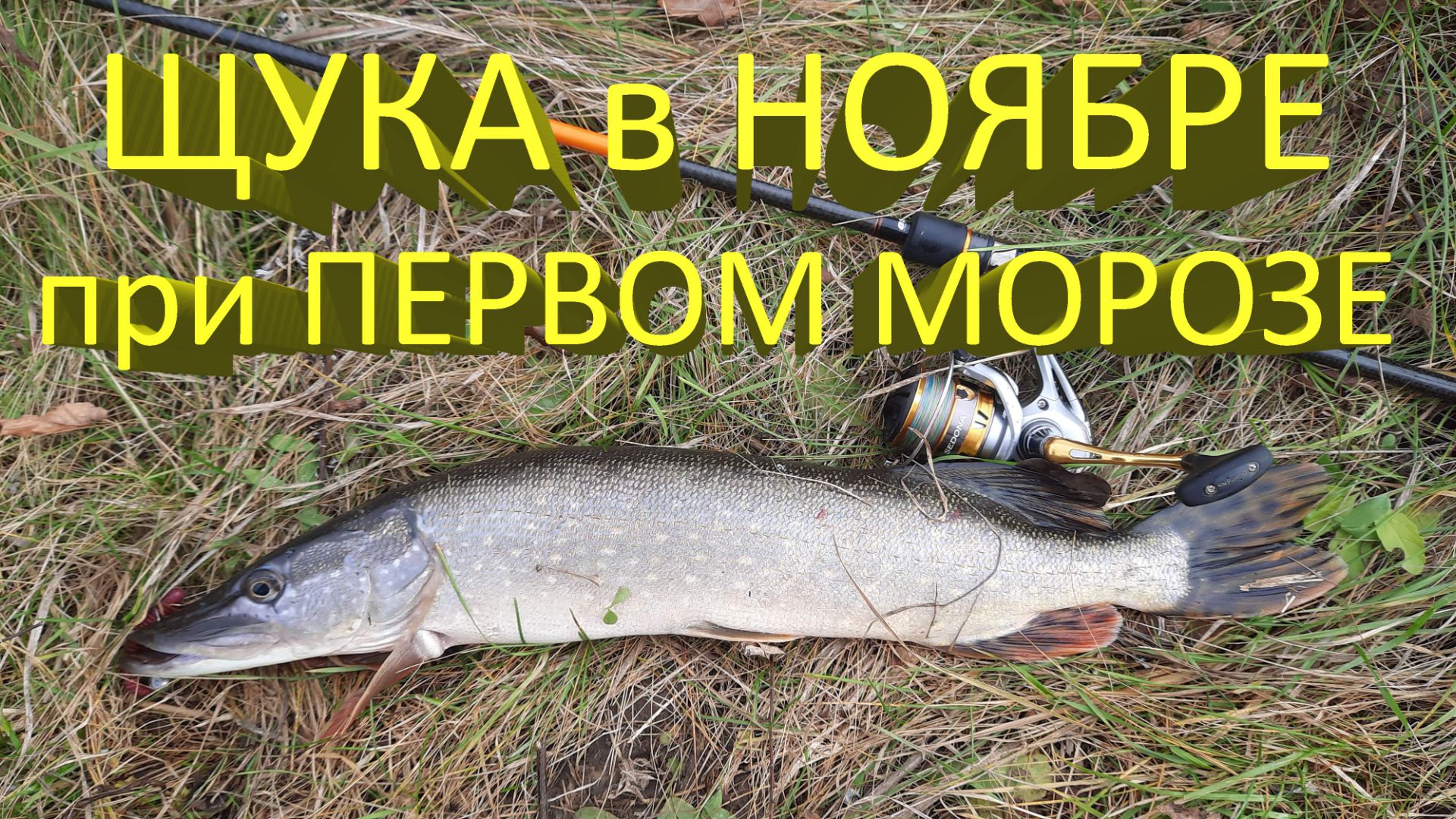 🔥 ЩУКА в НОЯБРЕ. Снова Keitech Swing Impact. Рыбалка на спиннинг при первом морозе 🔥