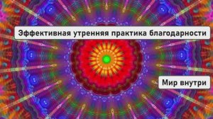 Эффективная утренняя практика благодарности для изменения жизни