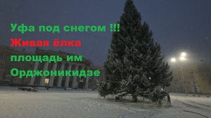 Уфа под снегом, самая красивая Ёлка, зима 2025