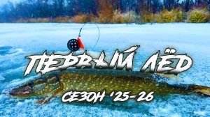 Первый лёд '25. Отличная рыбалка на жерлицы.