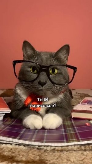 ЕСЛИ БЫ КОТИКИ ХОДИЛИ В ШКОЛУ - ПОДАРОК ЛОТКОВА