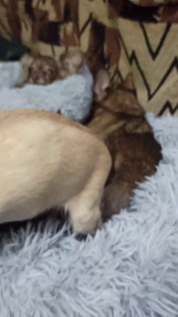 Старушка Юточка.🥰 смотреть онлайн