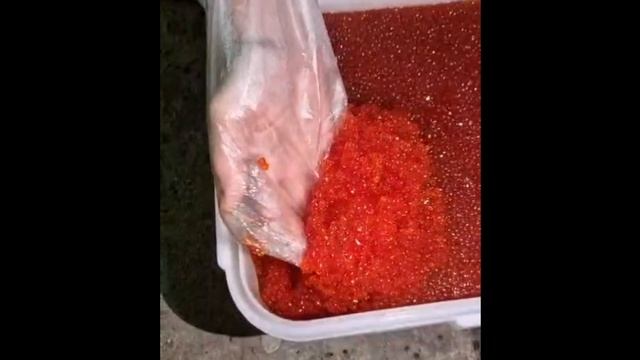 Икра нерки (кеты, форели, лосося, горбуши). Слабосолёная свежая камчатская. Засол 12 декабря.