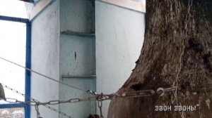 Герасим Волков, колокольный звон в храме Покрова Пресвятой Богородицы, с.Недельное, Калужская обл.