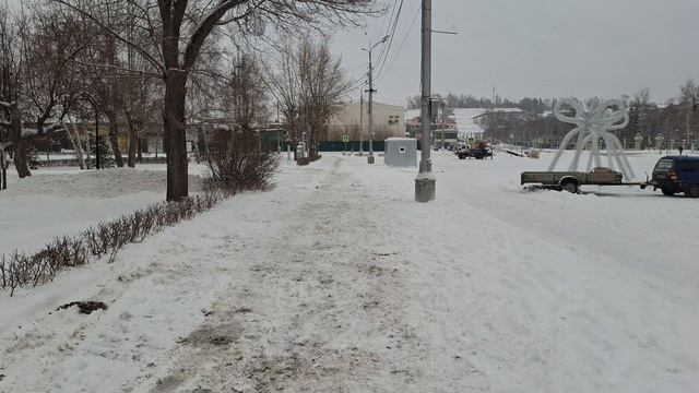 Соц свобода