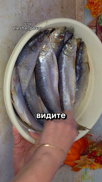 Малосольная сельдь пряного посола по ГОСТу как в СССР смотреть онлайн