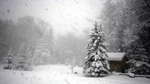 Снег летит . Поёт Валентина Дробышева. Гармонь А. Чижов.