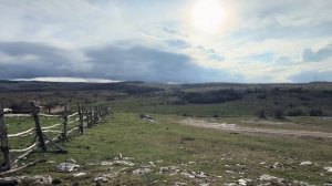 Конюшня в выкупленном Олегом Зубковым колхозе привела в ШОК даже журналистов!!!