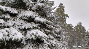 ЧЕМ БЛИЖЕ ЗИМА, ТЕМ БОЛЬШЕ ХОЧЕТСЯ ТЕПЛА