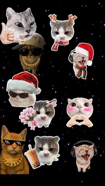 miau miau смотреть онлайн