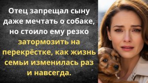 Собака раздора в идеальной семье | Истории из жизни