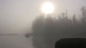 Пикник - Я почти итальянец