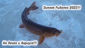 Зимняя Рыбалка 2025/2026!!! На Хариуса и Ленка на местной речке!