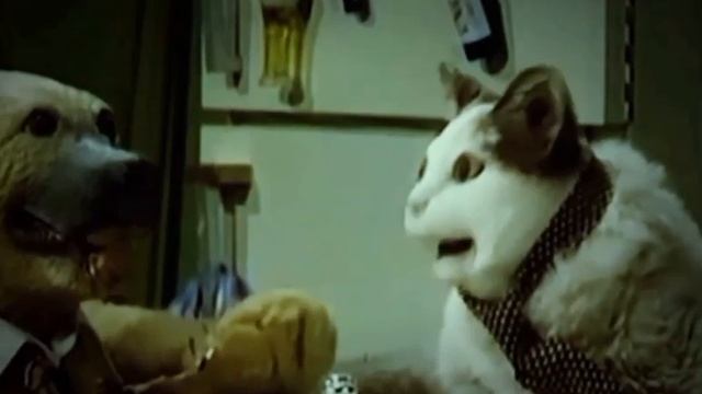 Бу испугался? не бойся