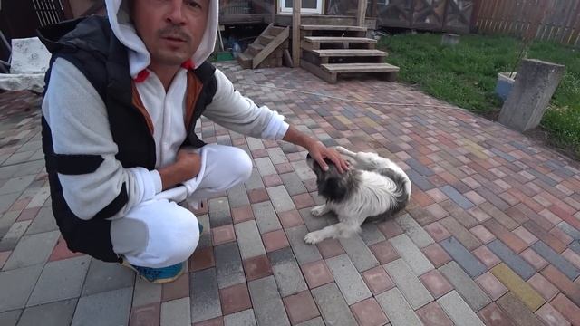 ДЕНЬ ИЗ ЖИЗНИ В АНАПЕ. НАЧИНАЕМ СЕЗОН. БОЛЬШОЙ ВЛОГ. МОЯ НОВАЯ ШВАБРА Easy Clean смотреть онлайн