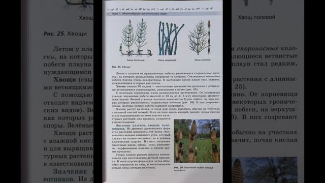 Биология 7 класс В.В. Пасечник. §7. Отделы Папоротниковые, Плауновидные, Хвощевидные.