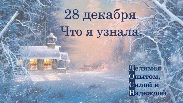 28 декабря. Что я узнала.