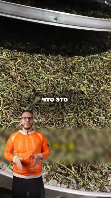 Представьте смотреть онлайн